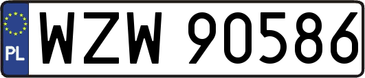 WZW90586
