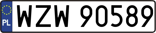 WZW90589