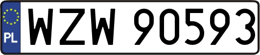 WZW90593