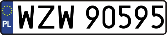 WZW90595