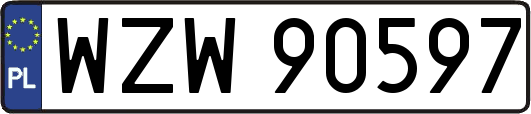 WZW90597