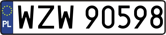 WZW90598