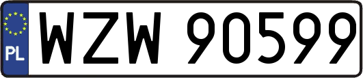 WZW90599