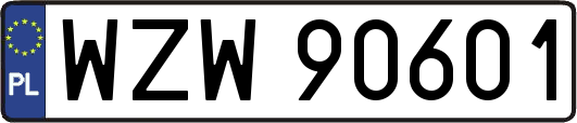 WZW90601