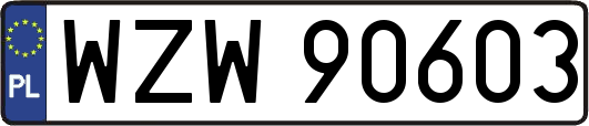 WZW90603