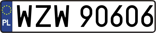 WZW90606