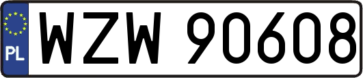 WZW90608