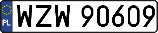WZW90609