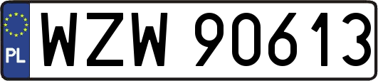 WZW90613