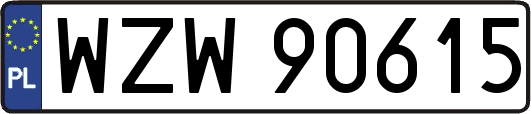 WZW90615