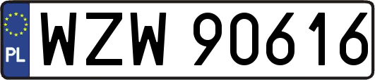 WZW90616