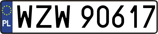 WZW90617