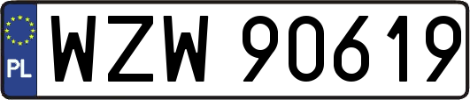 WZW90619
