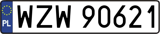 WZW90621