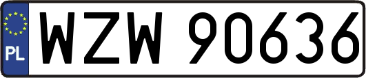 WZW90636