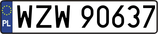 WZW90637