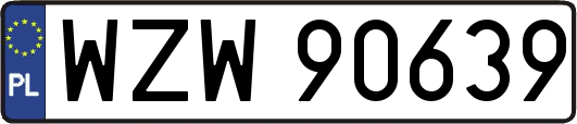 WZW90639