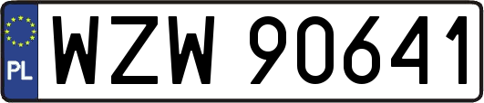 WZW90641