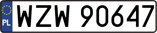 WZW90647