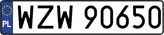 WZW90650