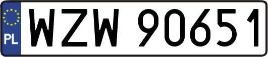 WZW90651