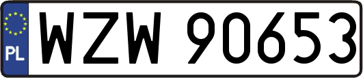 WZW90653