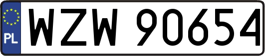 WZW90654