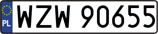 WZW90655