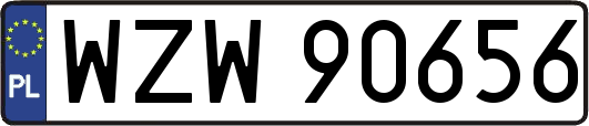 WZW90656