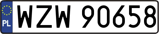 WZW90658
