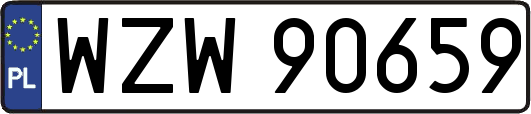 WZW90659