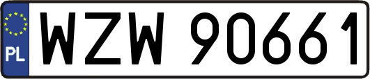 WZW90661