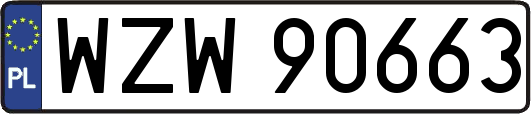 WZW90663