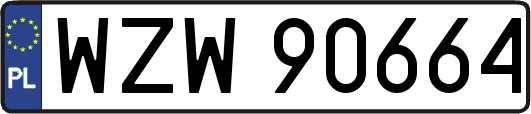 WZW90664