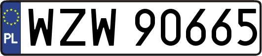 WZW90665
