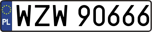 WZW90666