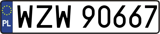 WZW90667
