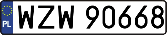 WZW90668