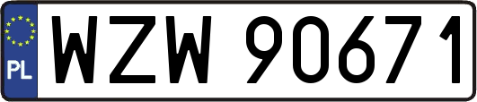 WZW90671