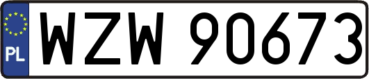 WZW90673