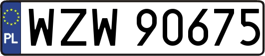 WZW90675