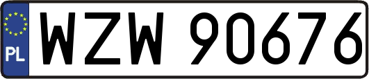 WZW90676