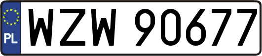 WZW90677