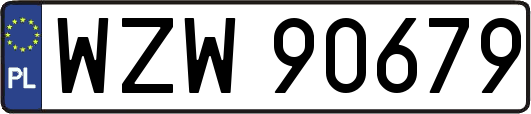 WZW90679