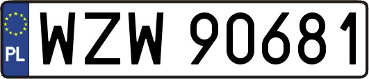 WZW90681