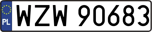 WZW90683