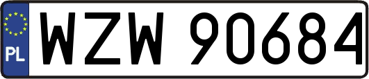 WZW90684