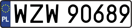 WZW90689