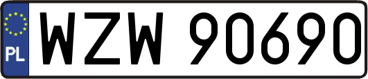 WZW90690