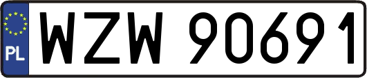 WZW90691